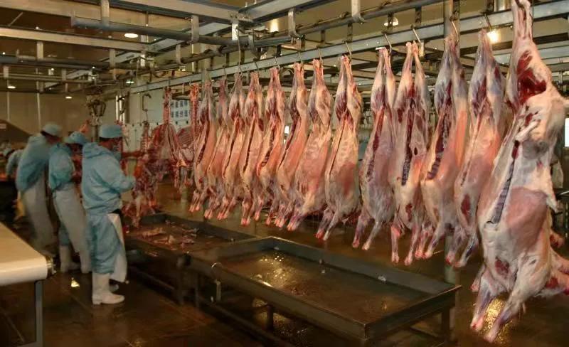 锡林浩特自然景观,锡林浩特市发展战略