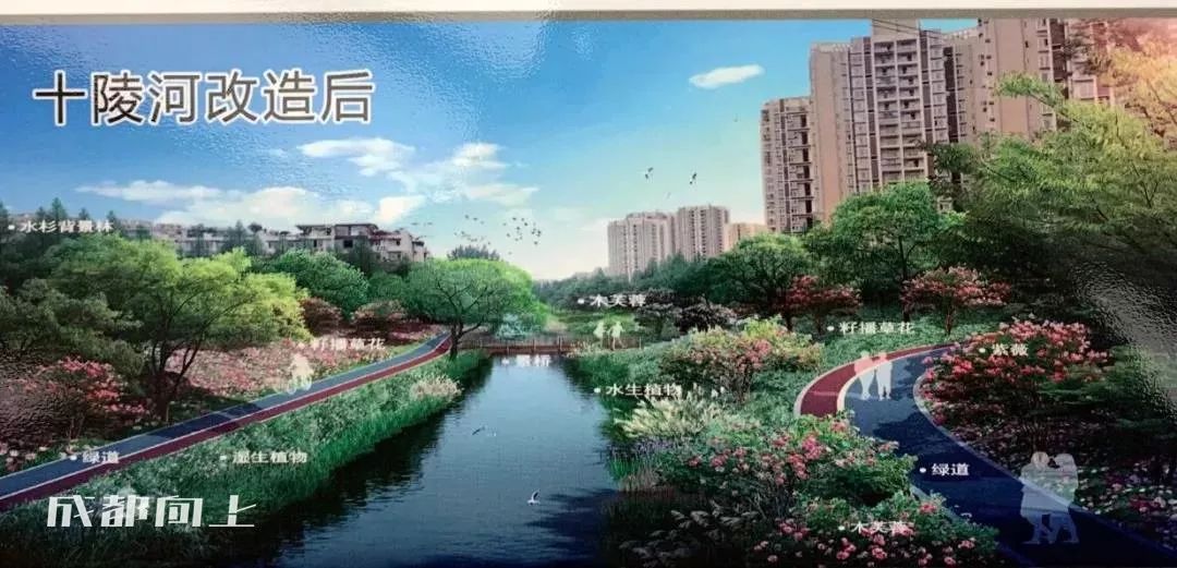 大运村建设火热朝天，成都大学已经上天