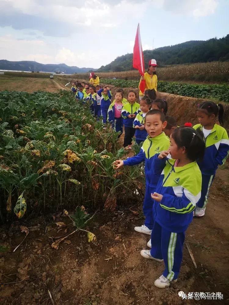金太阳幼儿园校门,延安市甘泉谢金庄幼儿园