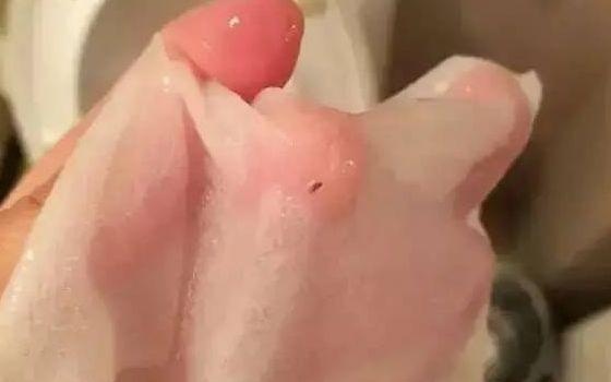 又翻车了，被gay骗感情，为捞钱无下限？