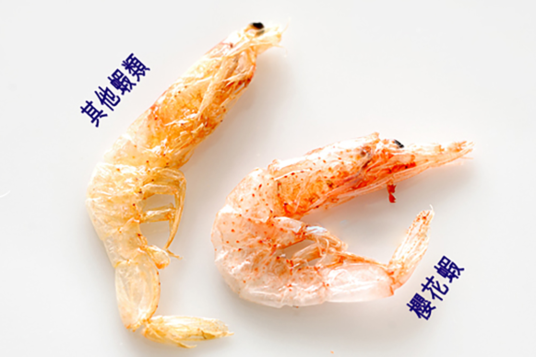 樱花虾的最佳吃法,樱花虾怎么吃不会有沙