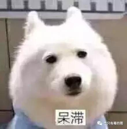 畅销9年的断货王,八年卖出几百万