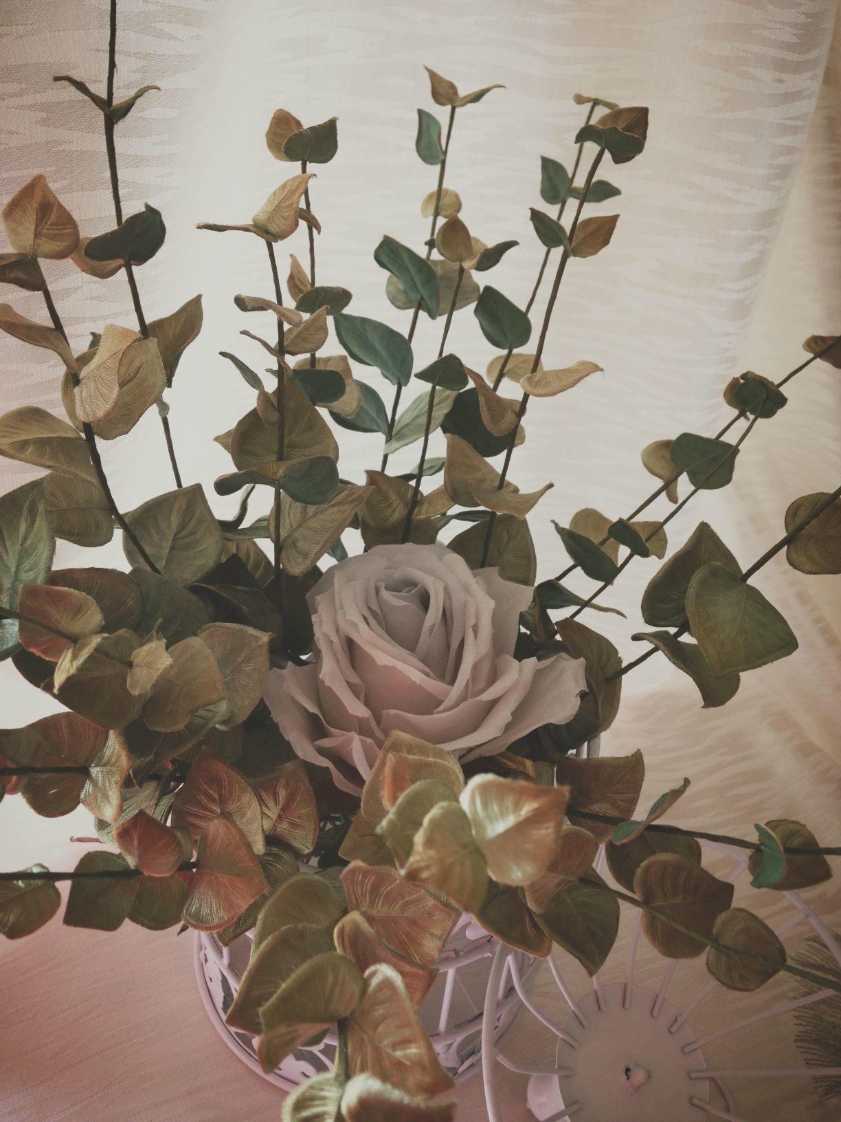 金钱叶仿真绿植金色尤加利叶,绿植尤加利叶子发黄