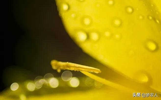 以清净心看世间以欢喜心度生活,以清净心看世界用欢喜心过生活