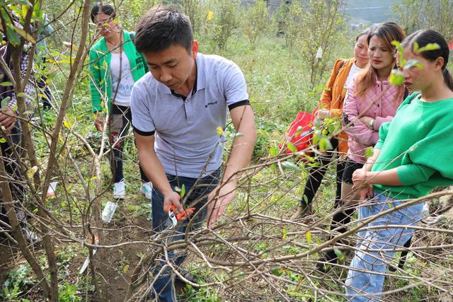 贵州省福润集团有限公司,贵州福润农资