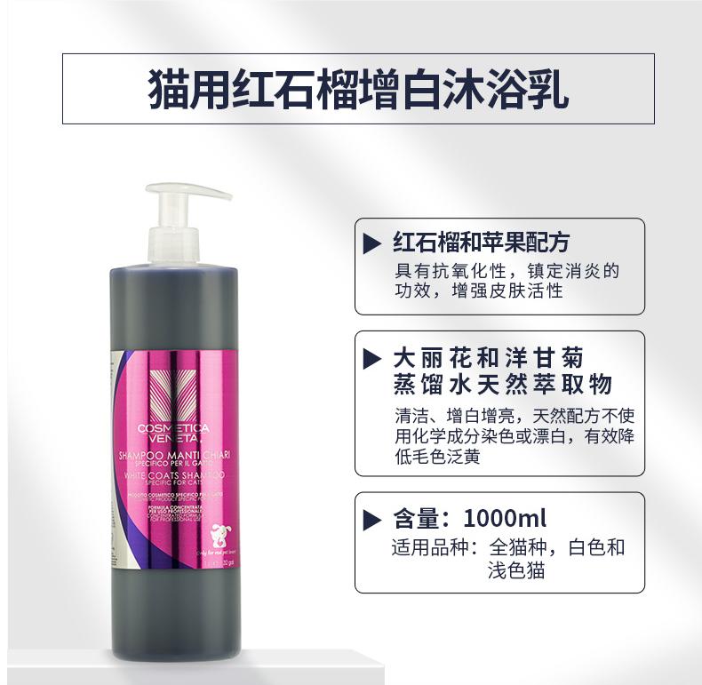 猫舍长毛猫洗护日常分享,无毛猫的清洁与护理全攻略