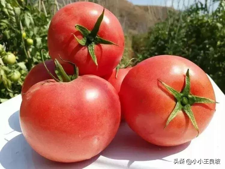 息县一亩三分地,绛县四分指在哪里