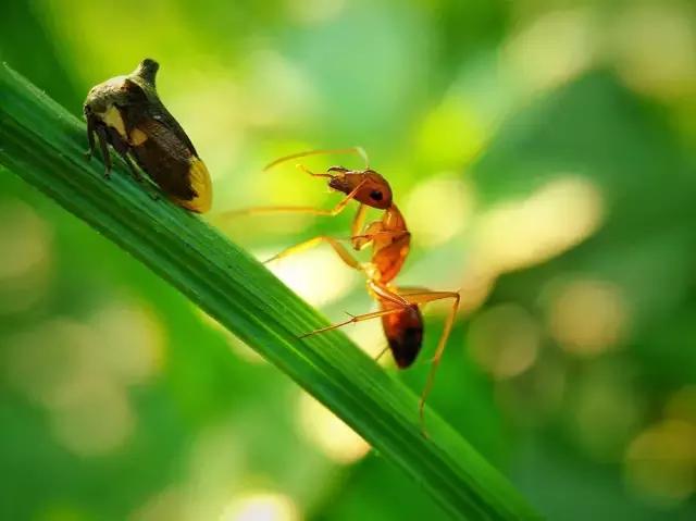 手机拍照教程零基础学摄影,手机摄影零基础怎么入门