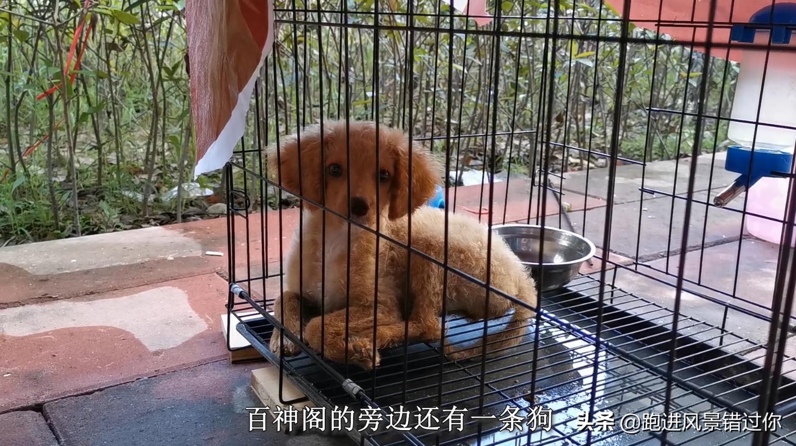 福州世欧王庄王子塔住宅,福州世欧王庄最高楼