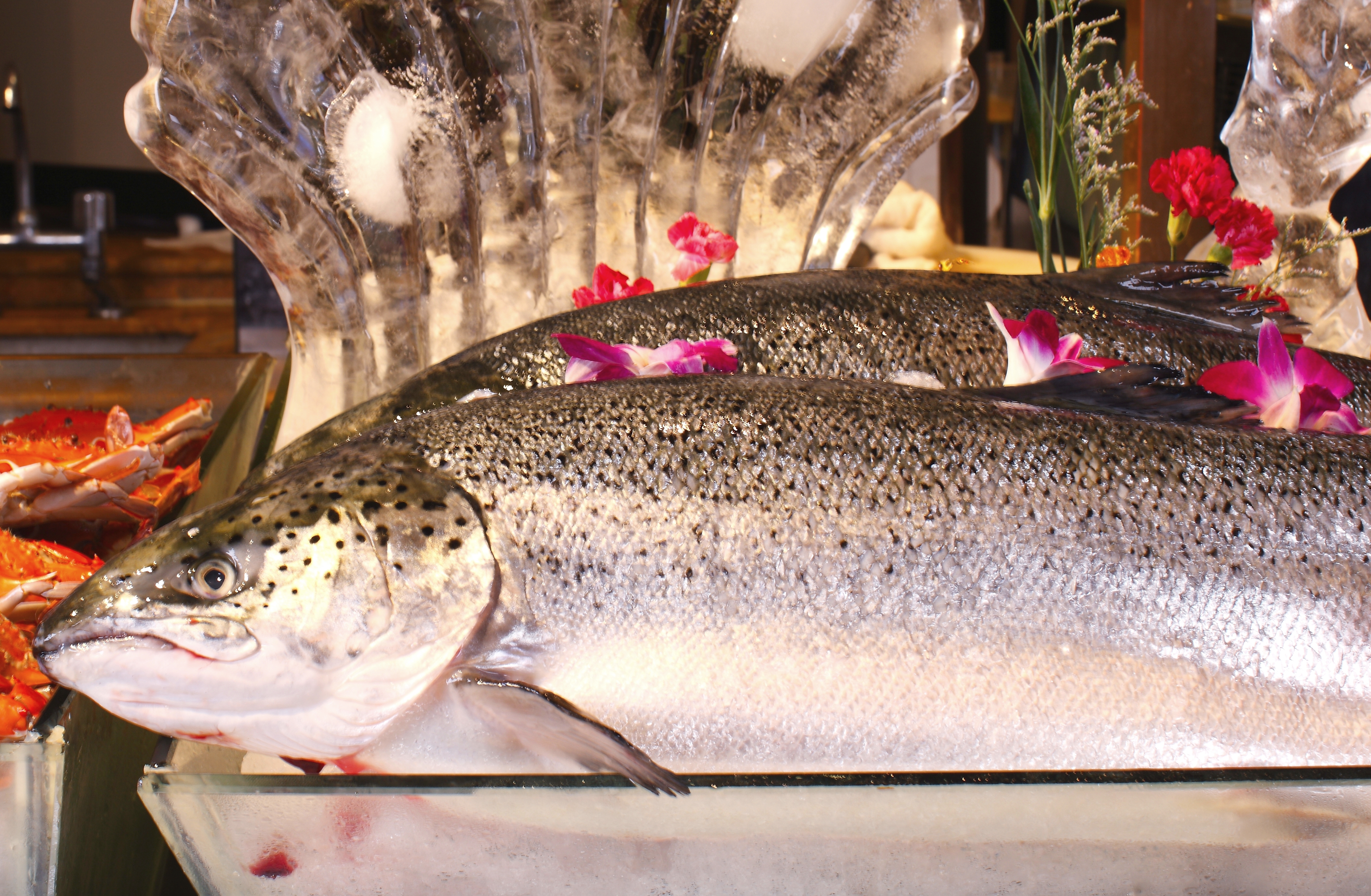 美林湖温泉酒店是真温泉吗,清远美林湖温泉酒店