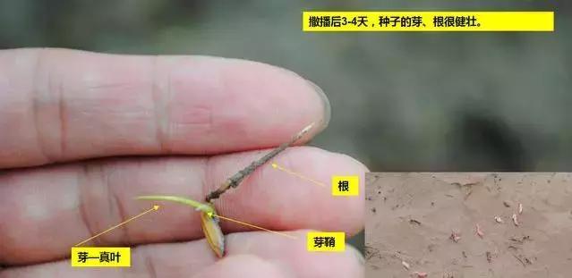 <html>
<head><title>502BadGateway</title></head>
<body>
<center><h1>502BadGateway</h1></center>
<hr><center>nginx</center>
</body>
</html>
<!--apaddingtodisableMSIEandChromefriendlyerrorpage-->
<!--apaddingtodisableMSIEandChromefriendlyerrorpage-->
<!--apaddingtodisableMSIEandChromefriendlyerrorpage-->
<!--apaddingtodisableMSIEandChromefriendlyerrorpage-->
<!--apaddingtodisableMSIEandChromefriendlyerrorpage-->
<!--apaddingtodisableMSIEandChromefriendlyerrorpage-->
