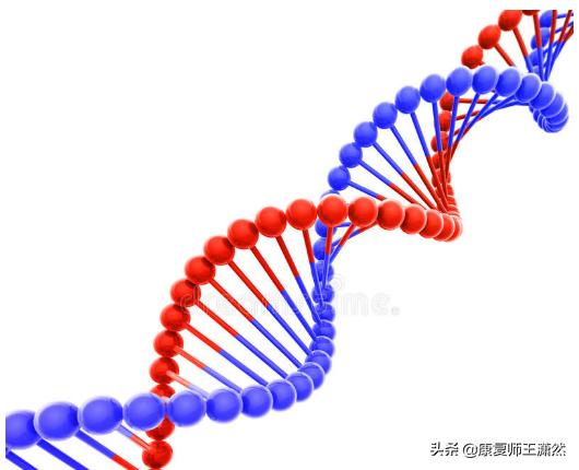 上交叉综合征多久能改善,上交叉综合征康复训练