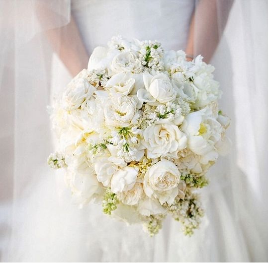 12星座女最喜欢什么花,追12星座女生送什么花