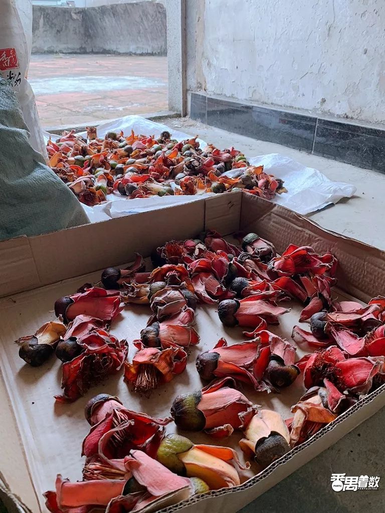 在番禺，住在康乐园的人最幸福！