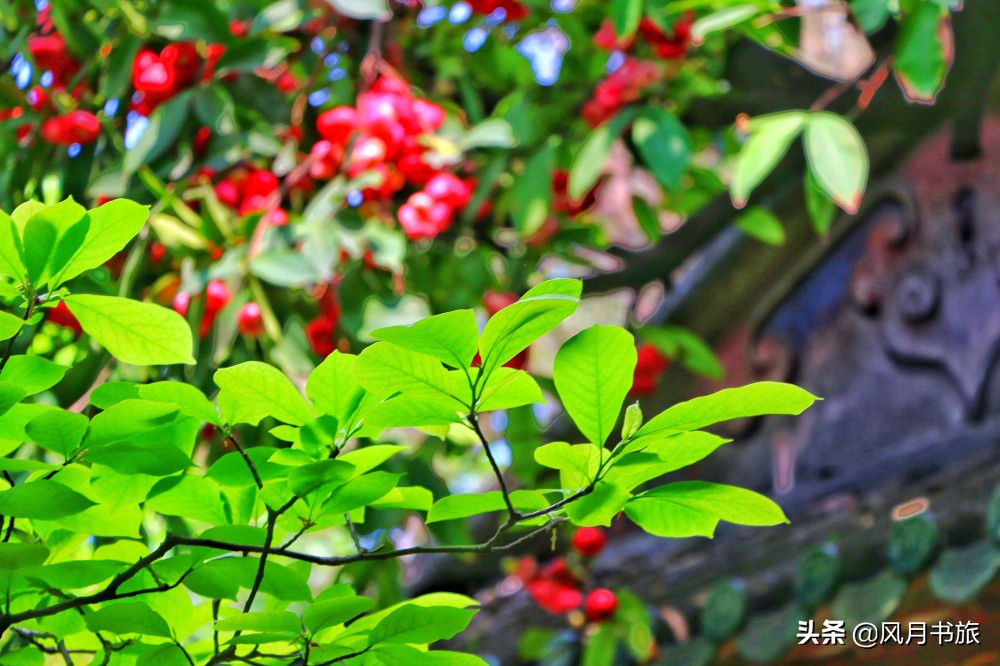 广东佛山百岁名园40年建成，关山月题名，罗哲文称它岭南第一园