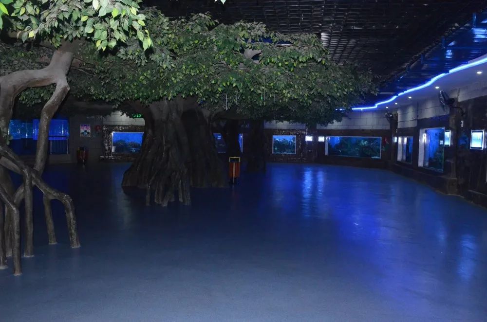 开封海洋馆门票70岁免费吗,开封海洋馆门票20元2019