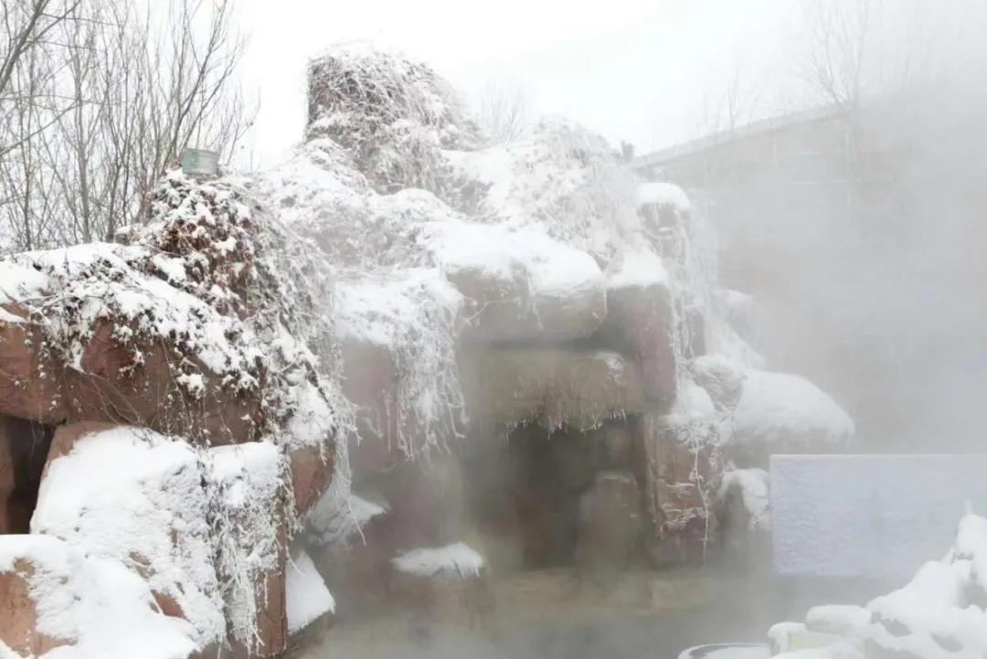 初见长春,第一次雾凇之旅不虚此行