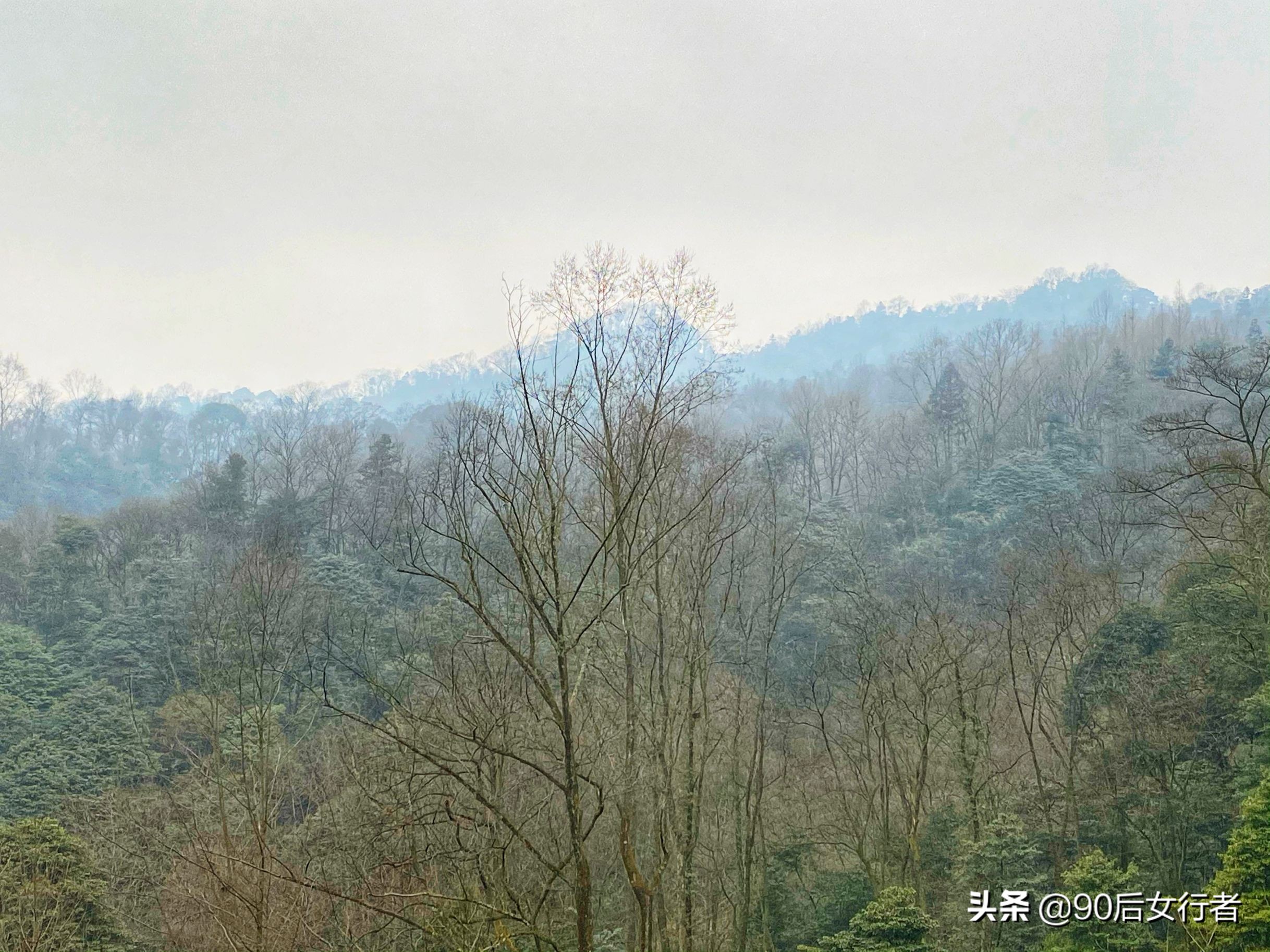 青城山隐居84岁道长教游客太极,拜会青城山