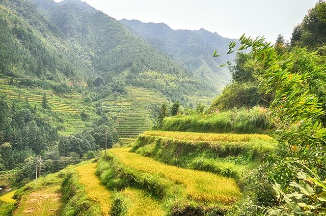 韶关丹霞梯田图片,韶关旅游梯田攻略图片
