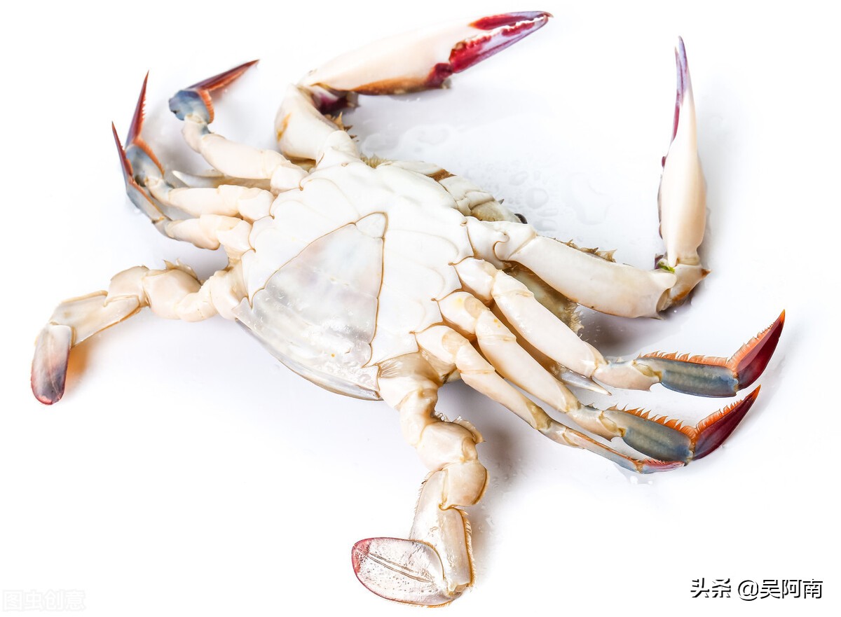 什么时候的螃蟹最肥美,教你挑选螃蟹的8个技巧