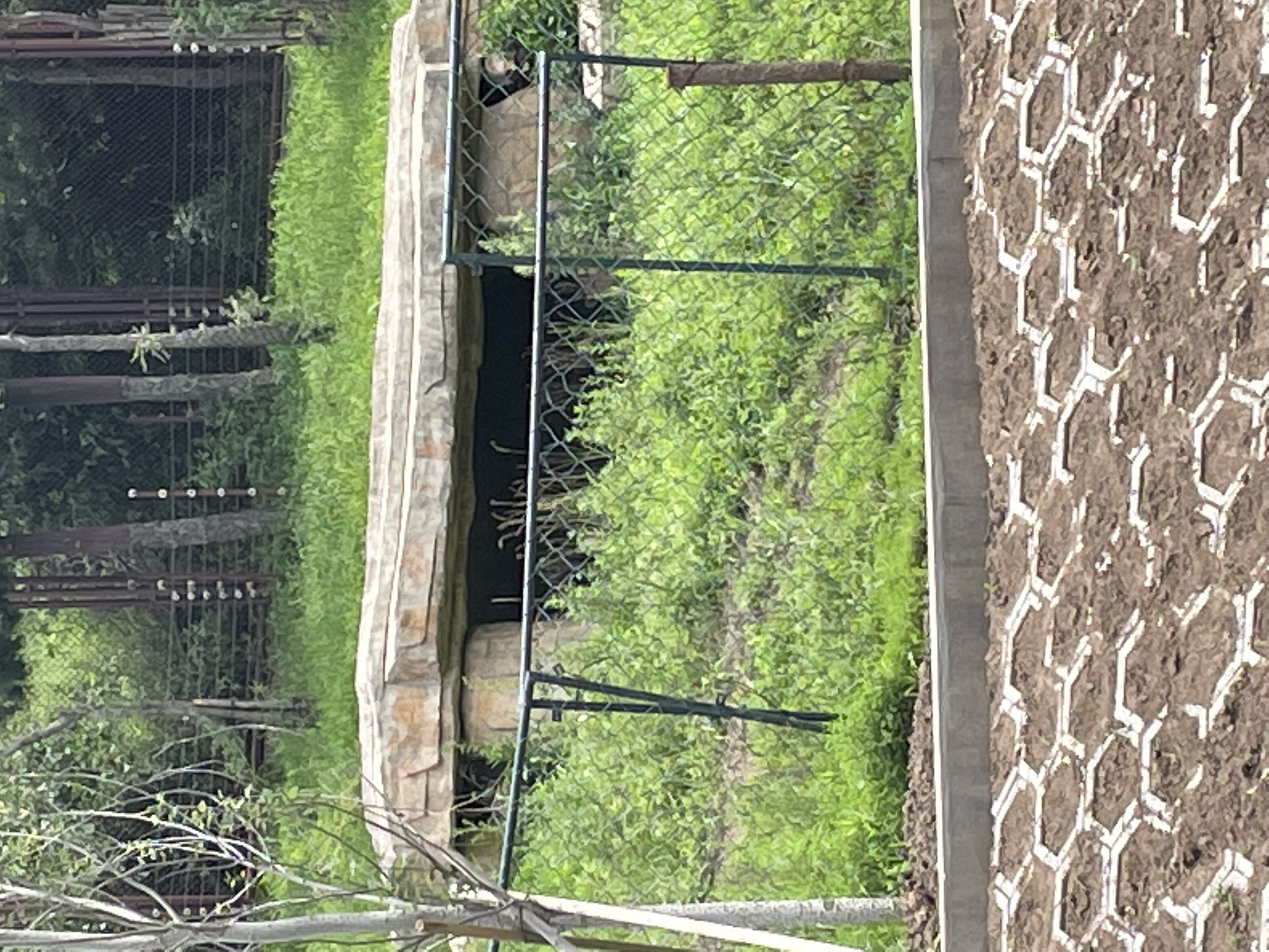 沈阳森林动物园春游,五一小长假去沈阳森林动物园游玩