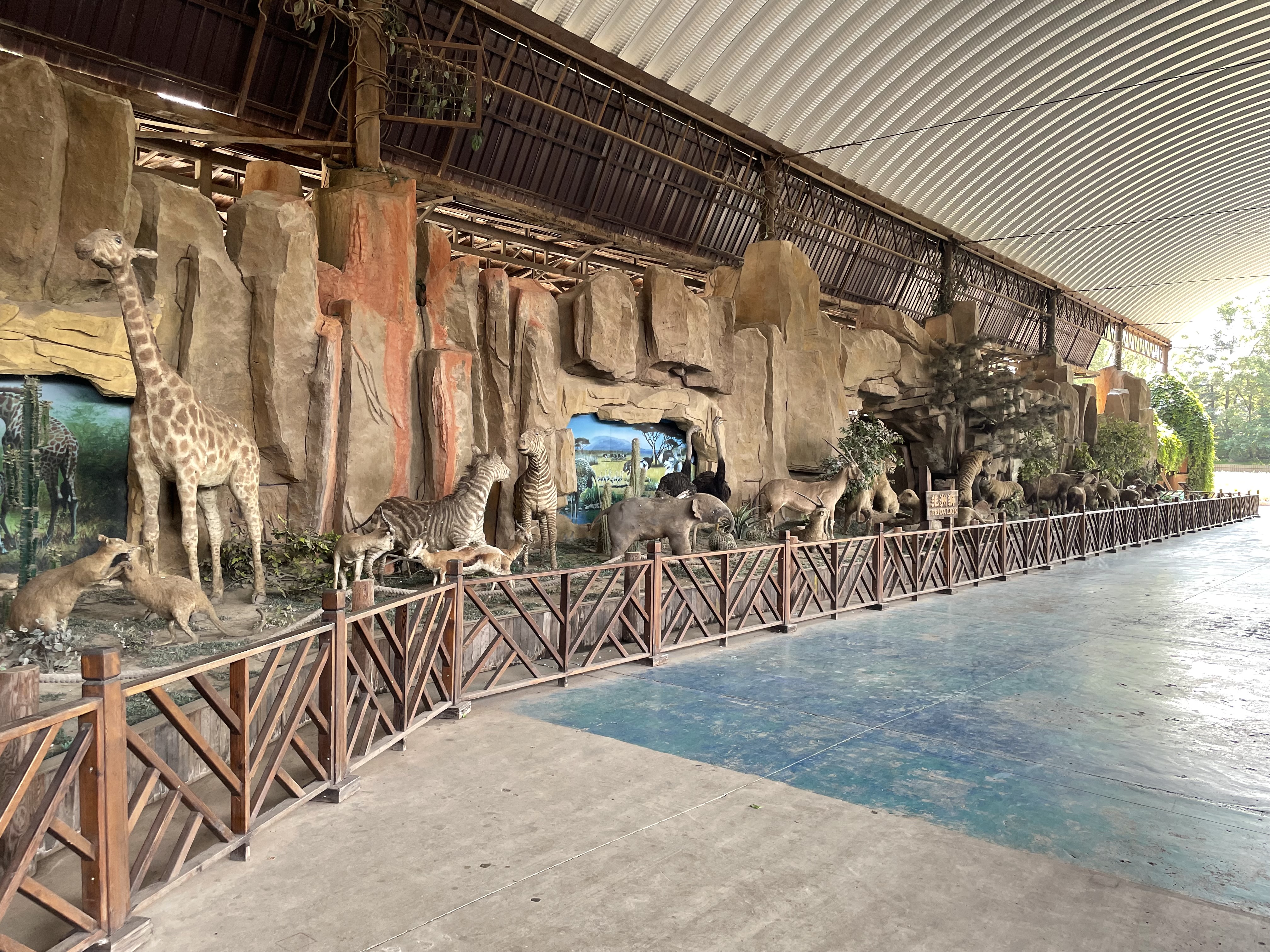 沈阳森林动物园春游,五一小长假去沈阳森林动物园游玩