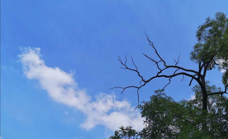 生态宜居家园风景,生态环境美丽家园