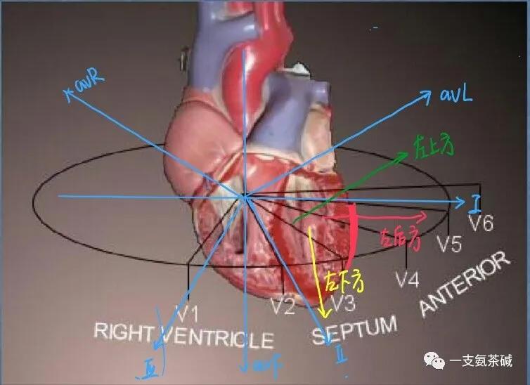心电图90-100,心电图九九八十一难口诀