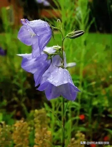 拍风景需要什么滤镜,日常拍摄风景偏振镜还是渐变镜