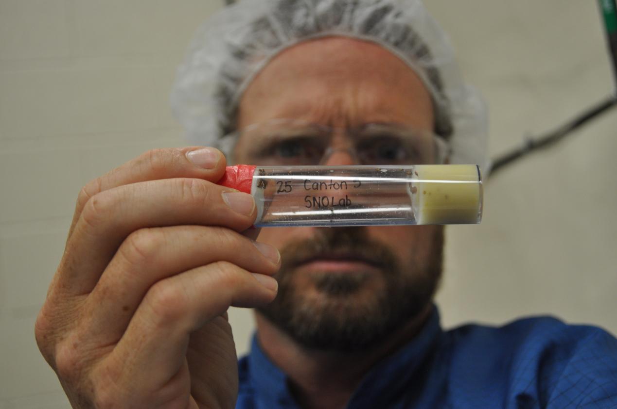 厨房果蝇小飞虫怎么消灭,厨房消灭果蝇的最好方法