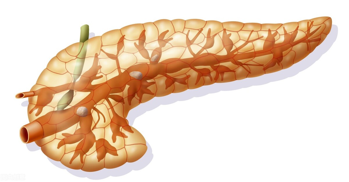 胰腺癌是因为什么才会得胰腺癌,胰腺癌晚期中医专家