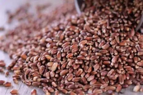 政法大学毕业，专业学法、懂法却不守法的京城亿万富豪伏法记