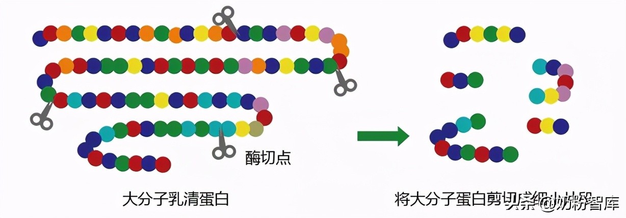 水解蛋白好处多！飞鹤、海普诺凯1897荷致等20款奶粉含有