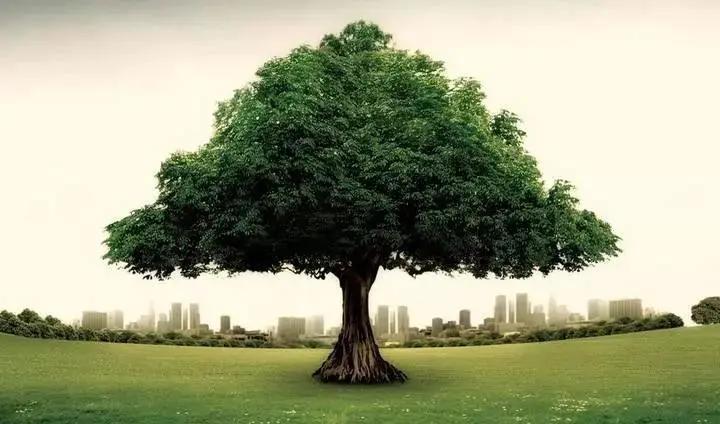 百思特管理咨询好不好,百思特咨询怎么样