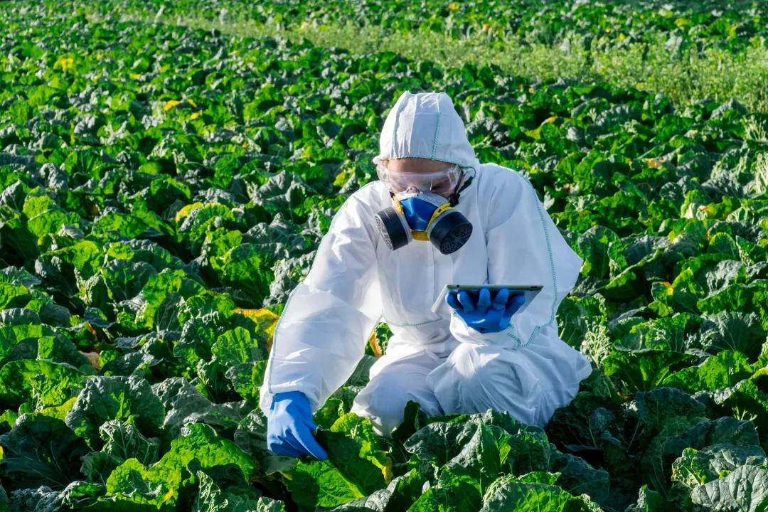 欧盟延长疫苗管制,欧盟延长禁令