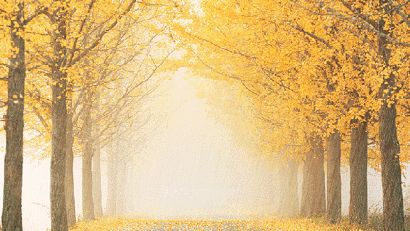 预防感冒换季注意事项,换季感冒用什么方法好得快