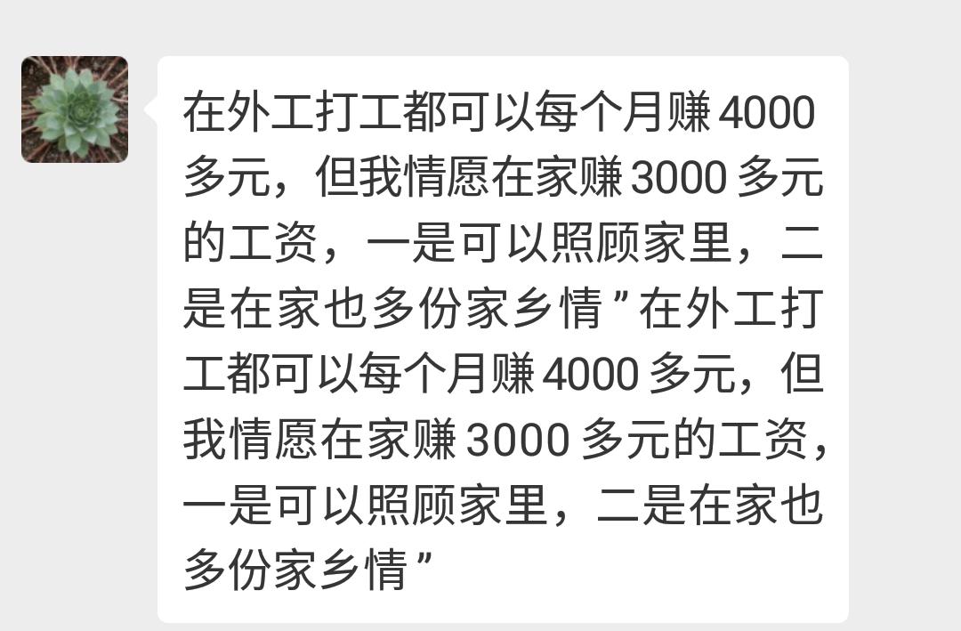 女大学生回家创业养上千头猪,北漂奶奶返乡创业高原养蚯蚓致富