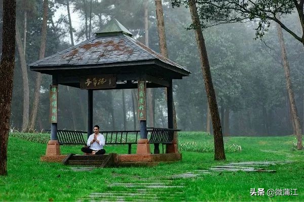 石象湖游览图片大全,石象湖自然风景