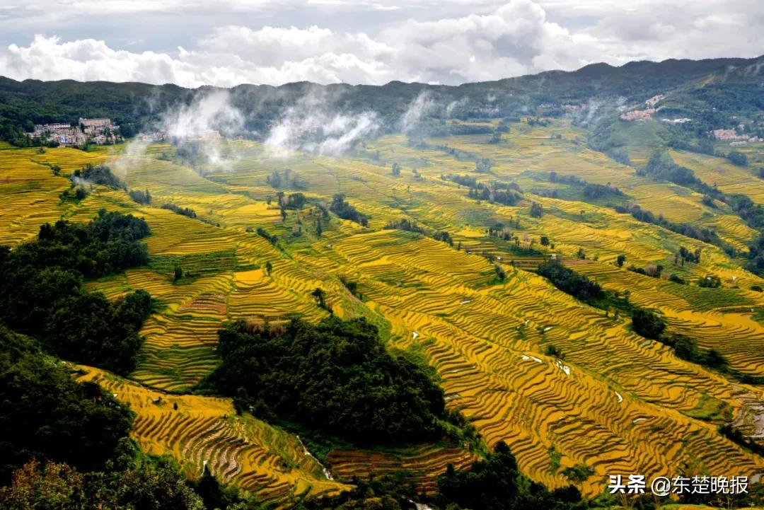 元阳梯田脱贫,红河哈尼族彝族自治州扶贫