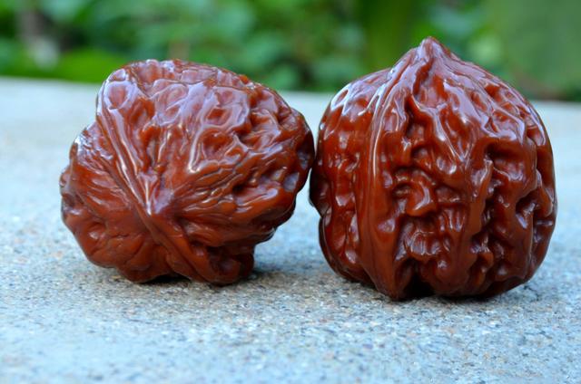 玩核桃先了解产地,这几个产地的核桃千万不可错过