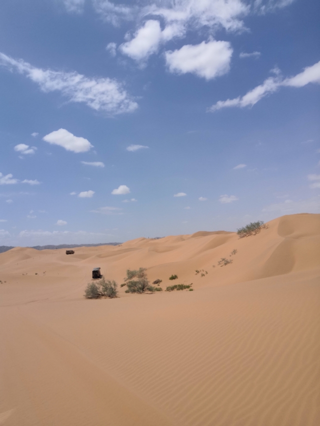 中卫沙坡头攻略,中卫沙坡头一日游攻略