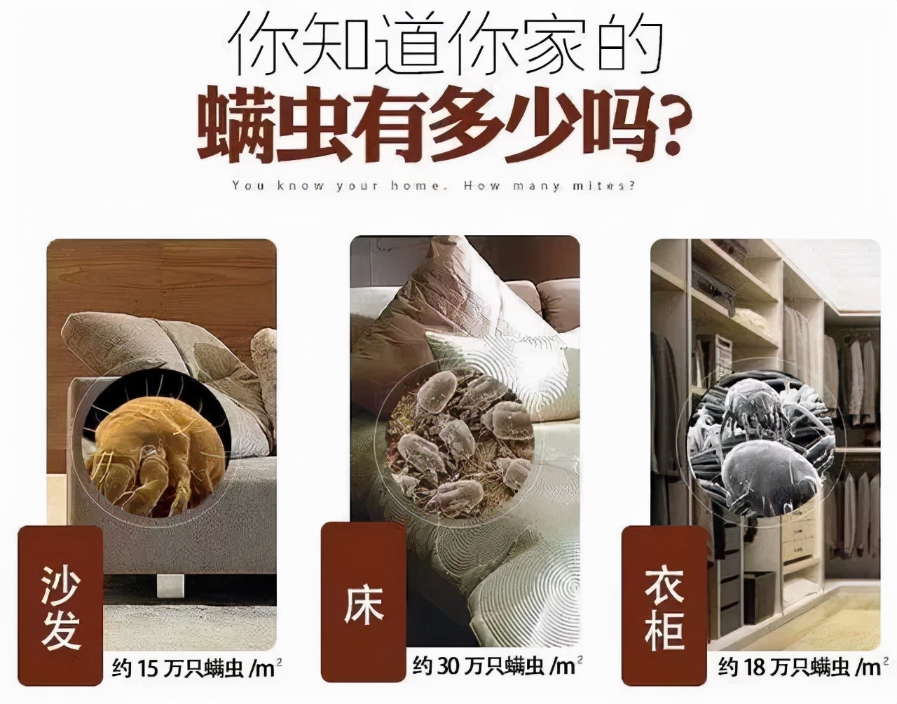 珀婷pertine除螨仪,珀婷PERTINE深度除螨喷雾剂