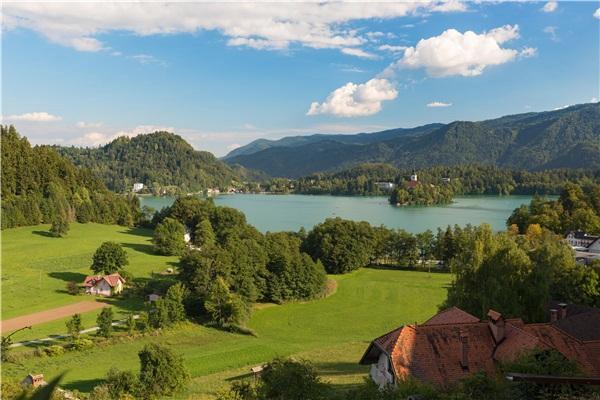 与其盲目跟风不如独自清醒,外国小众酒推荐