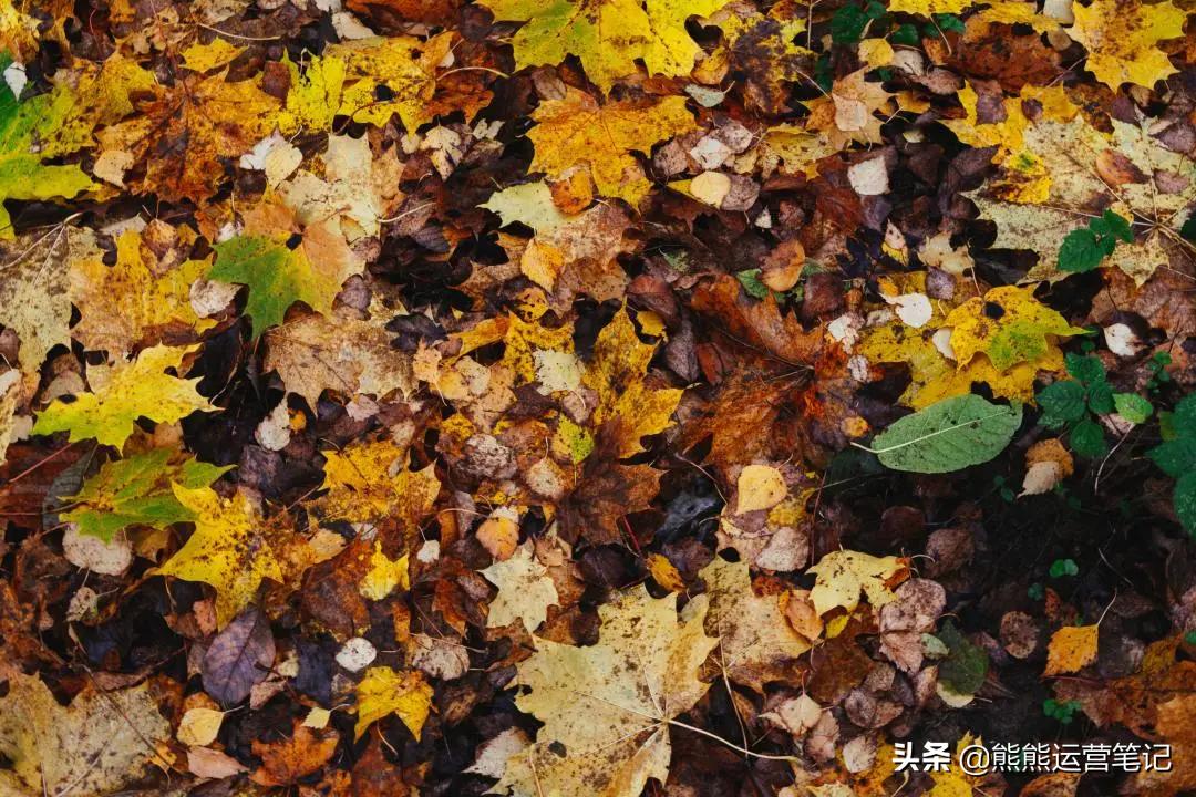 汽车修理厂营销活动策划方案,装修公司在小区里营销方案策划