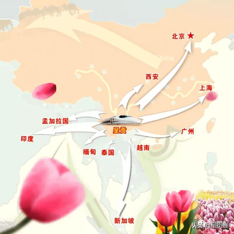 关于呈贡的介绍,呈贡的发展