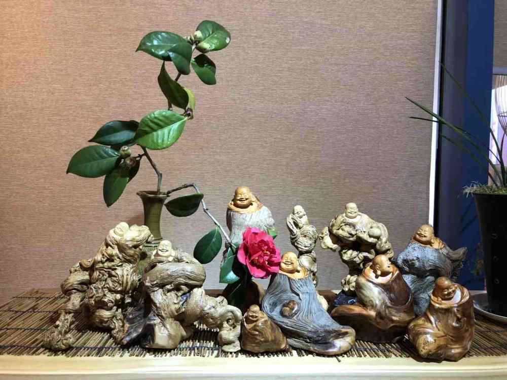 创业公司的生命周期,怎么看创业公司活多久了