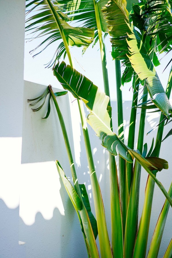 三亚休闲度假旅游攻略推荐,三亚休闲度假旅游攻略