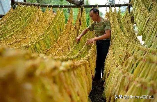 吸烟史翻译,吸烟史超过20年