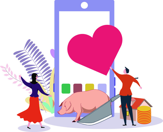 婚恋网一女被骗六十余万元,轻信婚恋网站被骗3万怎么办