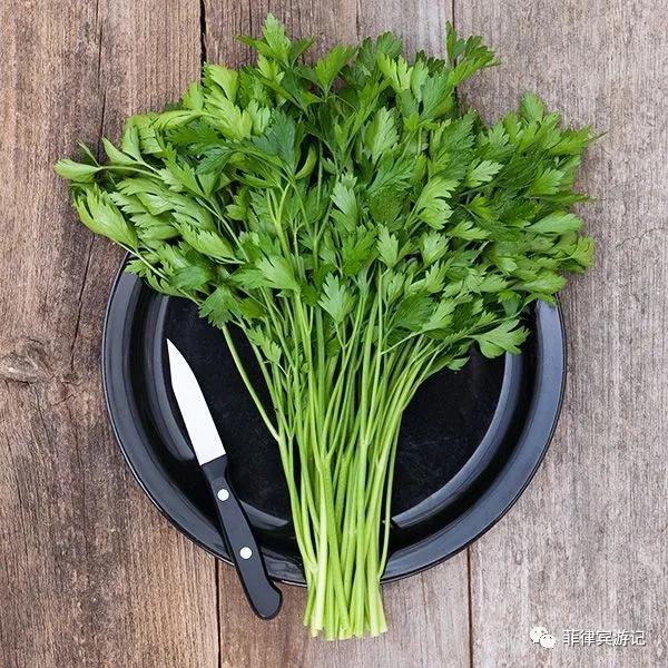 菲律宾青菜价格表,菲律宾蔬菜为什么那么贵